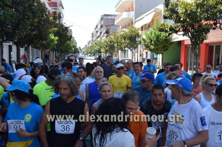 alexandriamou_1_alexandrinos_dromos076